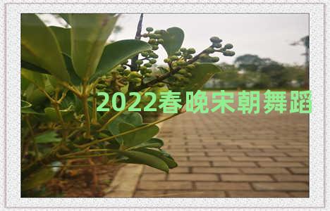 2022春晚宋朝舞蹈