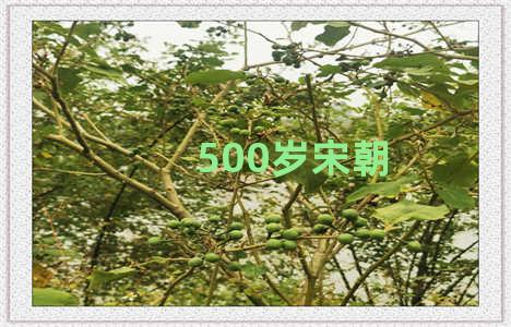 500岁宋朝