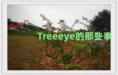 Treeeye的那些事