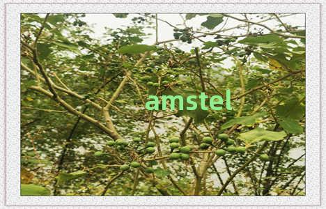 amstel