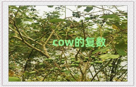 cow的复数