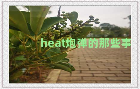 heat炮弹的那些事