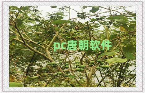 pc唐朝软件