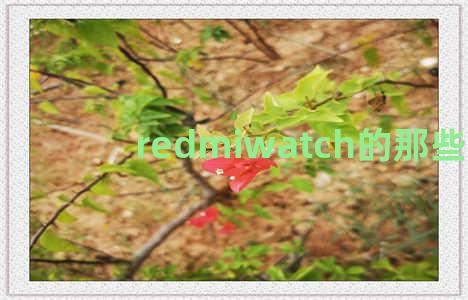 redmiwatch的那些事