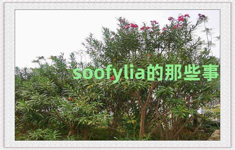 soofylia的那些事