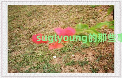 suglyoung的那些事