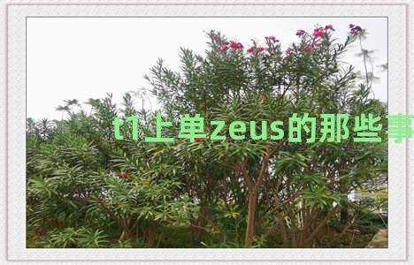 t1上单zeus的那些事