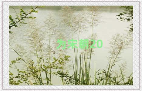 为宋朝20