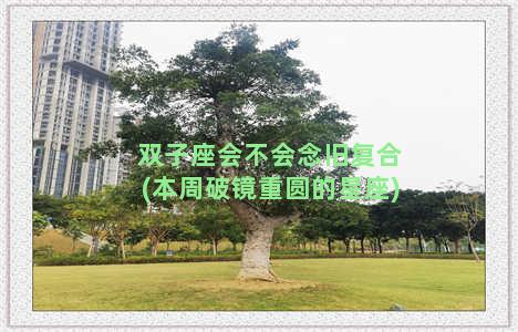 双子座会不会念旧复合(本周破镜重圆的星座)