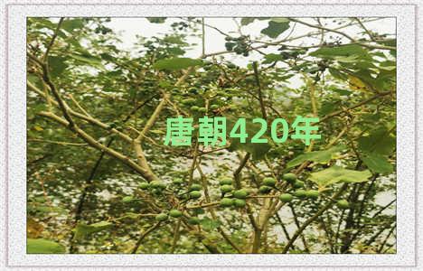 唐朝420年