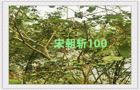 宋朝斩100