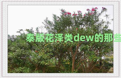 泰版花泽类dew的那些事