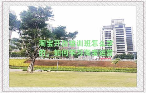 淘宝开店培训班怎么学的，如何学习淘宝运营